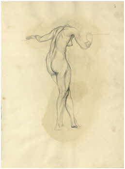 Visualizza l'immagine "FD Album 11, 7 r."